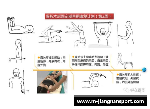 球员枕骨骨折：危险源与康复策略